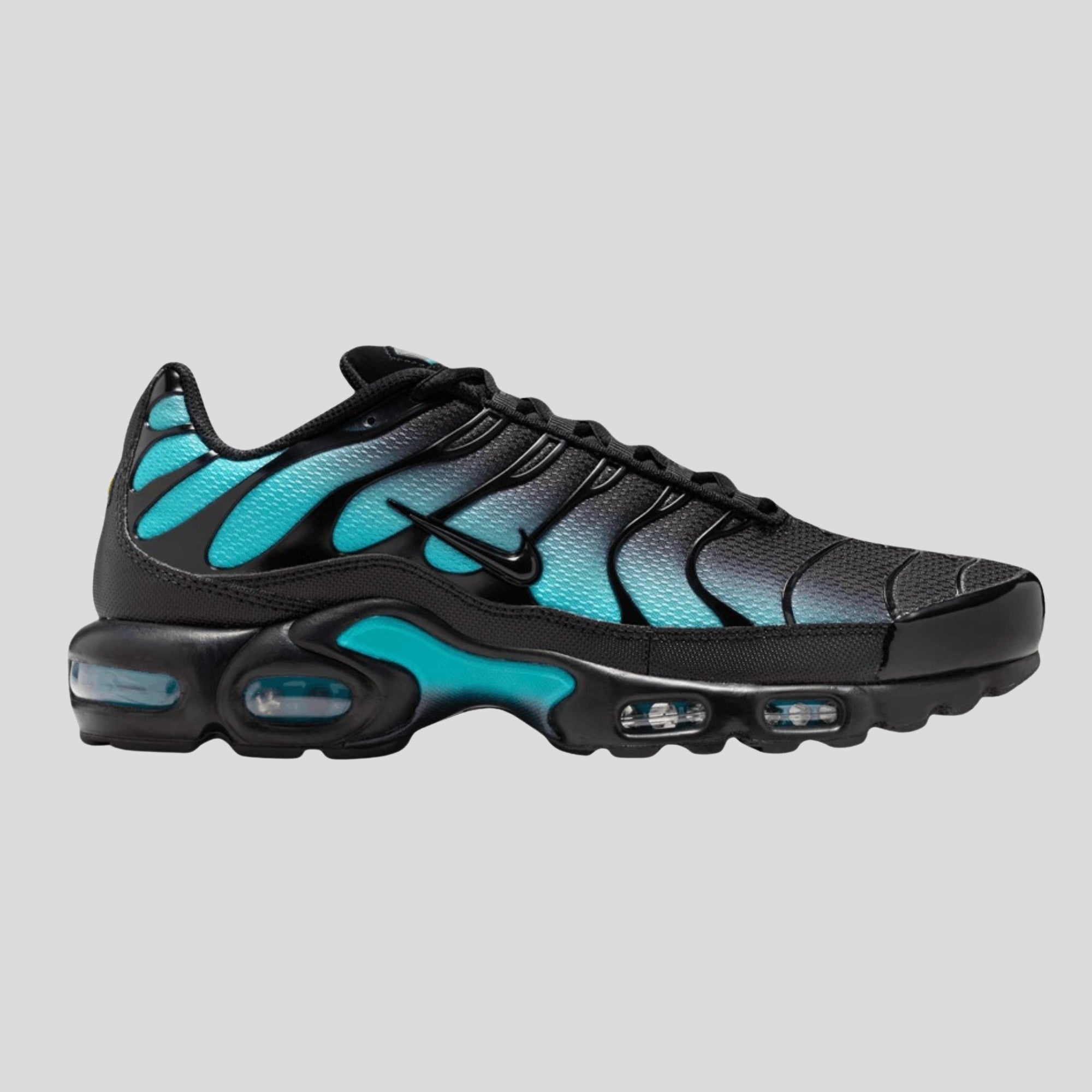 Nike Air Max Plus Black Dusty Cactus Trainers
