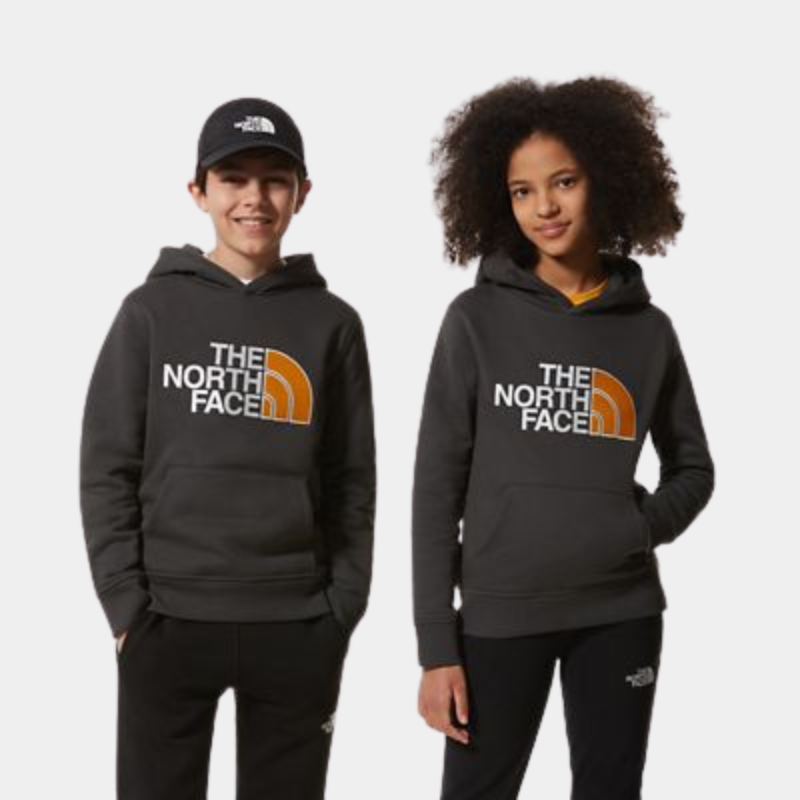 The North Face Teens' Drew Peak Hoodie - Grey