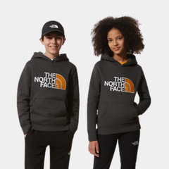 The North Face Teens' Drew Peak Hoodie - Grey